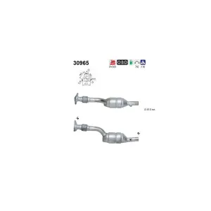 AS 30965 Catalyseur