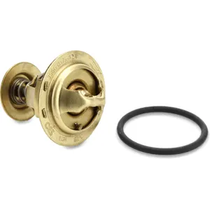FACET 7.8790 Thermostat d'eau