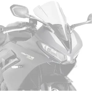 Bulle Puig Z-Racing (+4.5 cm) Carbone