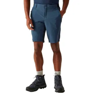 Short Regatta Eldes