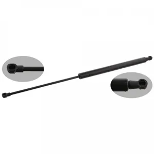 FEBI BILSTEIN Vérin pour RENAULT: Laguna (Ref: 32900)