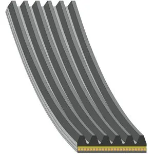 FEBI BILSTEIN 184954 Courroie Poly-V