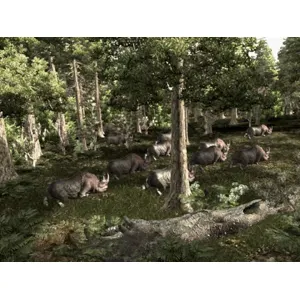 Gothic 3 (clé Steam, monde entier)