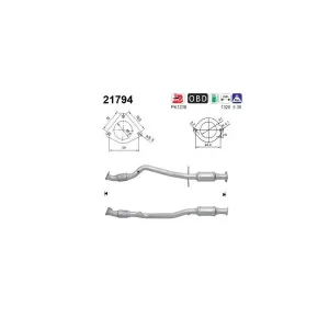 AS 21794 Catalyseur