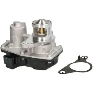 Vanne EGR NRF 48725