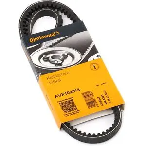 CONTITECH AVX10X813 Courroie trapézoïdale