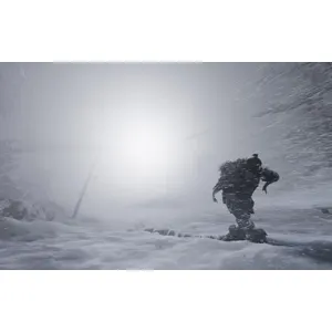 Fade to Silence (clé Steam, monde entier)