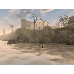 The Elder Scrolls III Morrowind GOTY (clé Steam, monde entier)