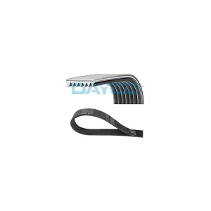DAYCO 7PK2170 Courroie Poly-V