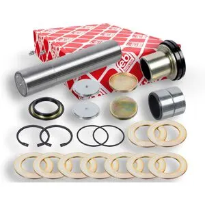 FEBI BILSTEIN 171302 Kit d'assemblage, pivot de fusée d'essieu