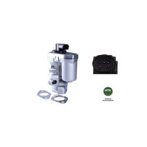 NGK Vanne EGR (Ref: 94505)