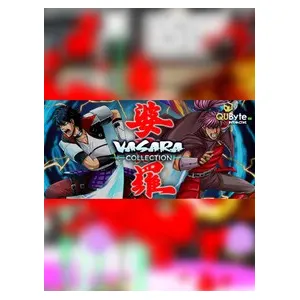 VASARA Collection (clé Steam, monde entier)