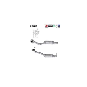 AS 30222 Catalyseur