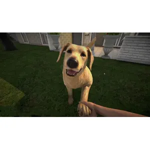 Pets Hotel (clé Steam, monde entier)