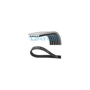 Multi-Couronnes Dayco 6pk1685 Opel