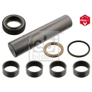 FEBI BILSTEIN Kit d'assemblage, pivot de fusée d'essieu pour LAND ROVER: Land Rover, Discovery & ME…