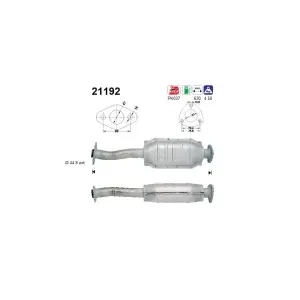 AS 21192 Catalyseur