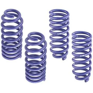 H&R ; 29331-3 Ressorts de suspension