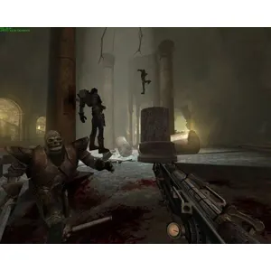 Painkiller Black Edition (clé Steam, monde entier)
