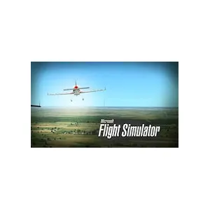 Microsoft Flight Simulator X (clé Steam, monde entier)
