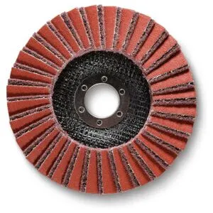 Disque À Lamelles