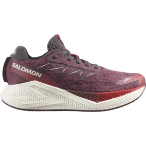 Salomon Aero Glide 4