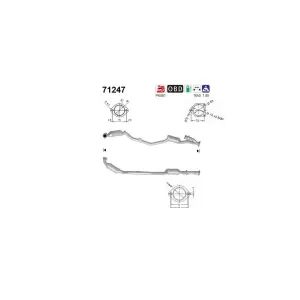 AS 71247 Catalyseur
