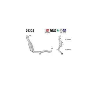AS 55329 Catalyseur