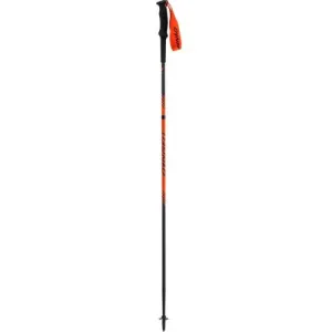 Bâtons de Trail Dynafit Alpine, 115 cm